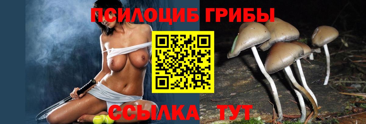 Светлоград  Галлюциногенные грибы Magic Shrooms  Вход с VPN 
